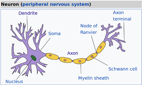 getting started with neural networks python