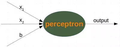 A perceptron with two input values and a bias value
